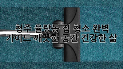청주 율량동 집 청소 완벽 가이드: 깨끗한 공간, 건강한 삶