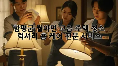 함평군 월야면 고급 주택 청소, 럭셔리 홈 케어 전문 서비스